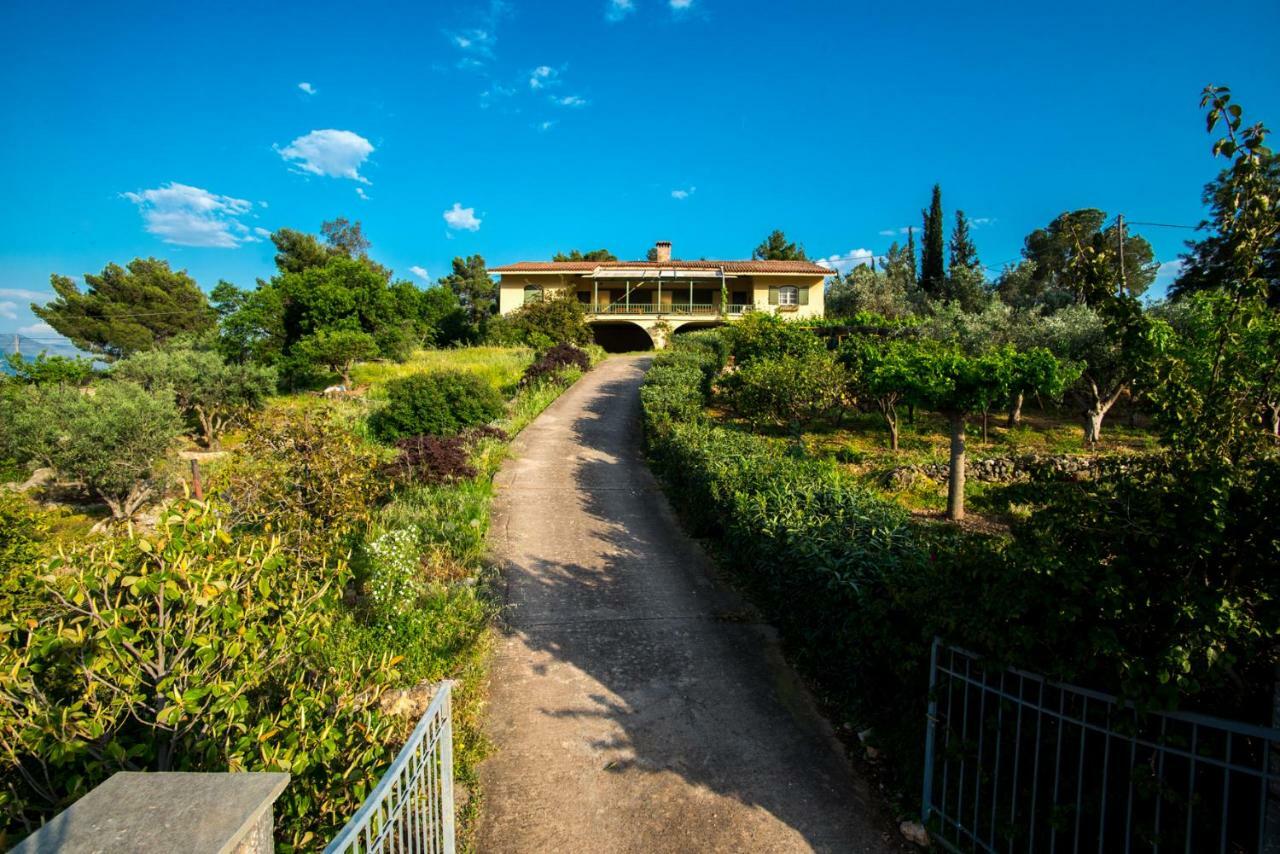 Aphrodite'S Coast Retreat House! Galaxídhion Kültér fotó