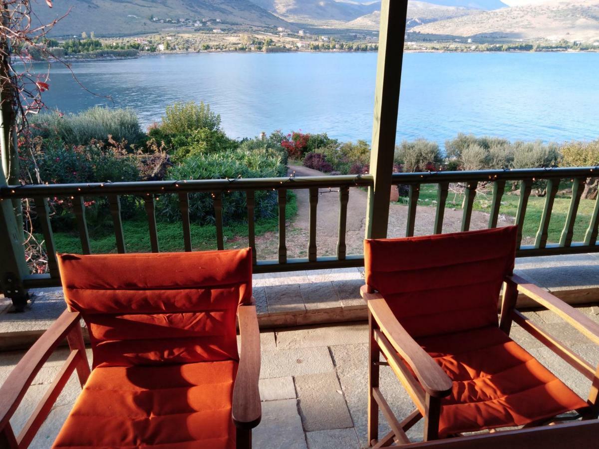 Aphrodite'S Coast Retreat House! Galaxídhion Kültér fotó